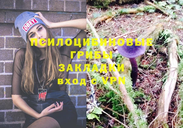 эйфоретик Алзамай