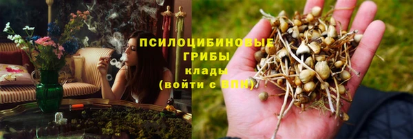 spice Алексеевка