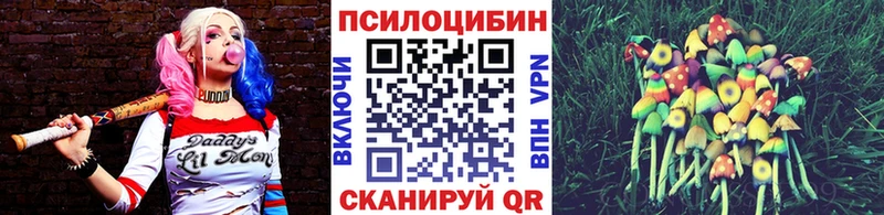 мориарти наркотические препараты  kraken   Полысаево  Псилоцибиновые грибы прущие грибы 